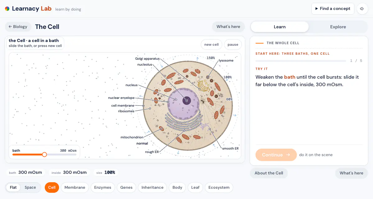 The Cell lab: a cell in a bath, with a slider for the bath